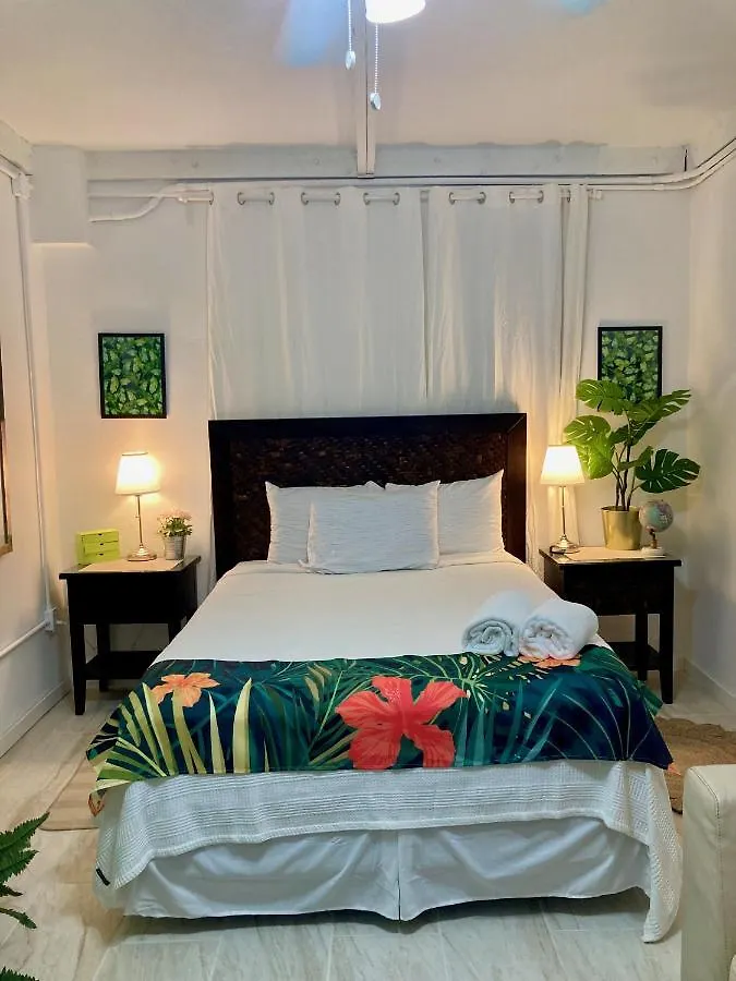 Tropical Apartments In Miramar San Juan