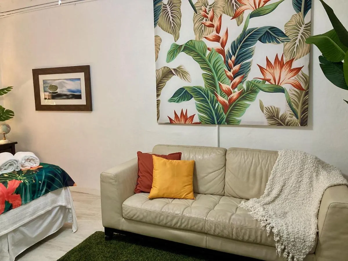 Tropical Apartments In Miramar San Juan