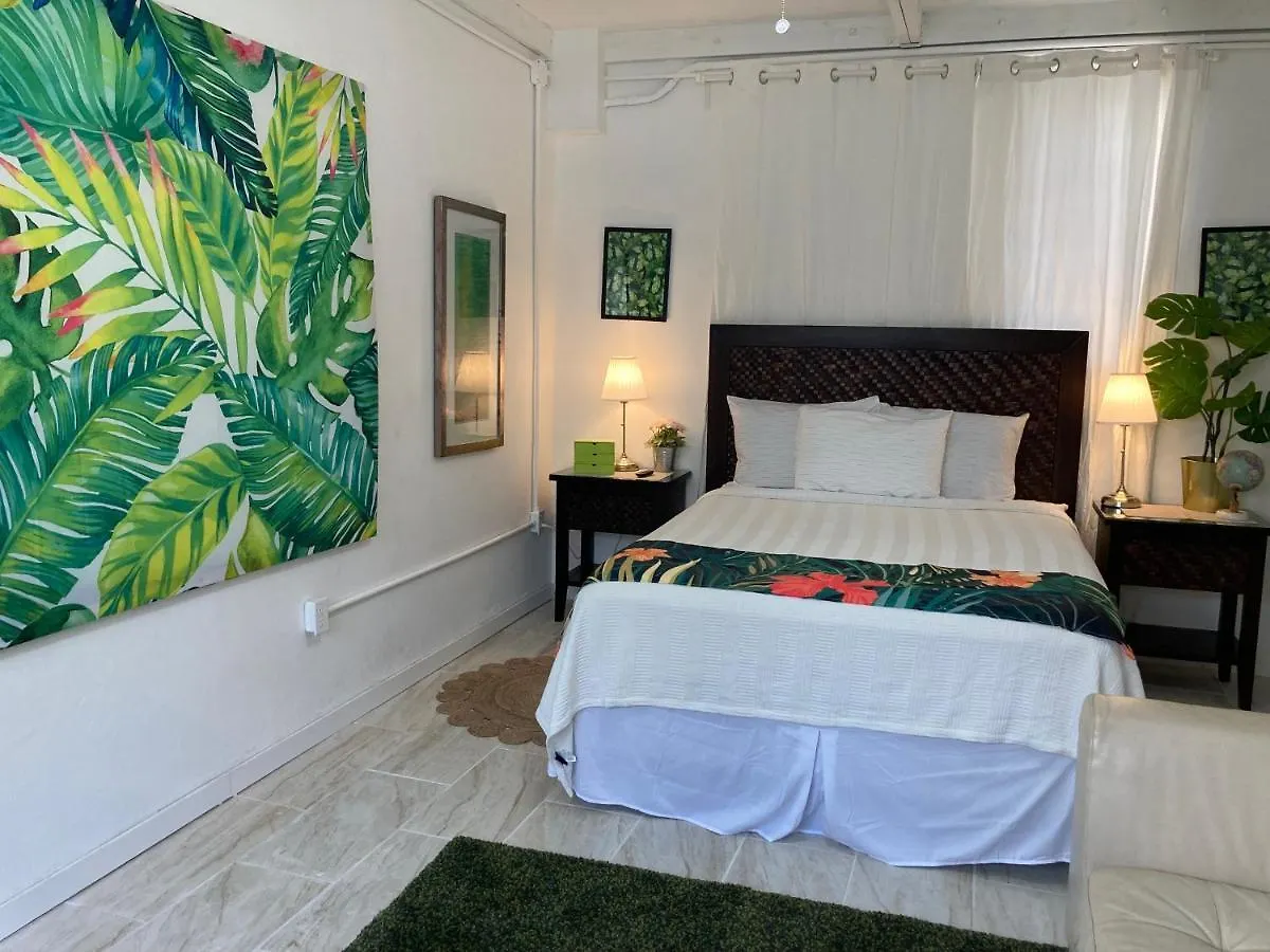 Tropical Apartments In Miramar San Juan Puerto Rico